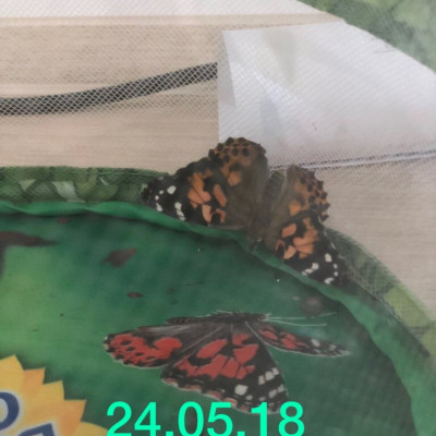 Jetzt sind alle da